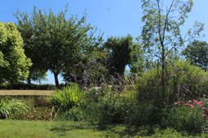 Photo 29- click for photo gallery